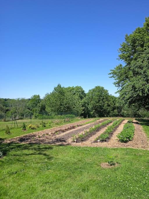 Les Jardins Des 3 Provinces- Gite Montcharvot Exterior photo